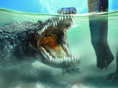 Photo for the news post: Carleton Scientist Discovers New Ancient Crocodile Relative