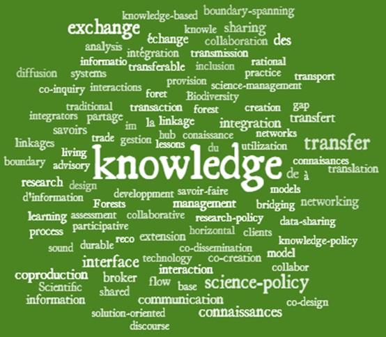 Knowledge Exchange World Cloud