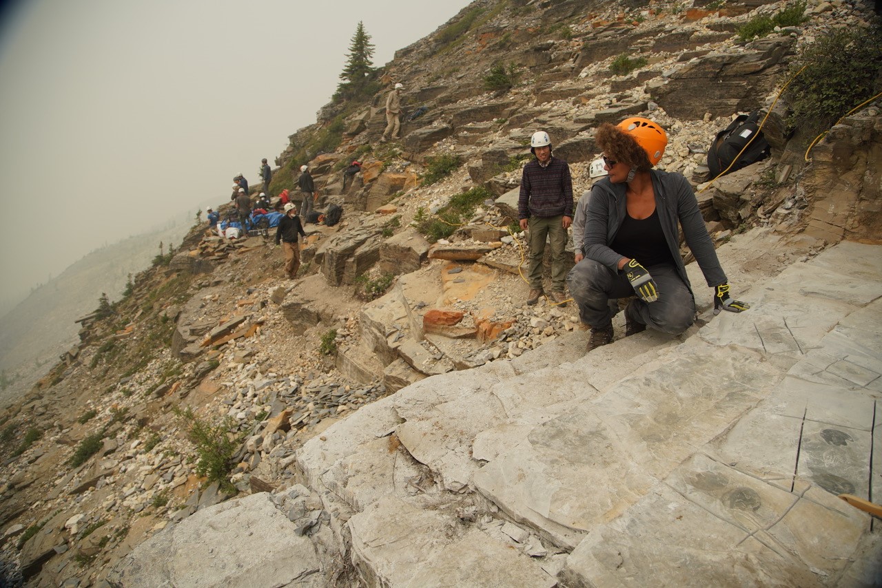 Maydianne Andrade at the Burgess Shale with the field crew of Dr. Jean Bernard Caron (Royal Ontario Museum) during filming of First Animals (the Nature of Things).