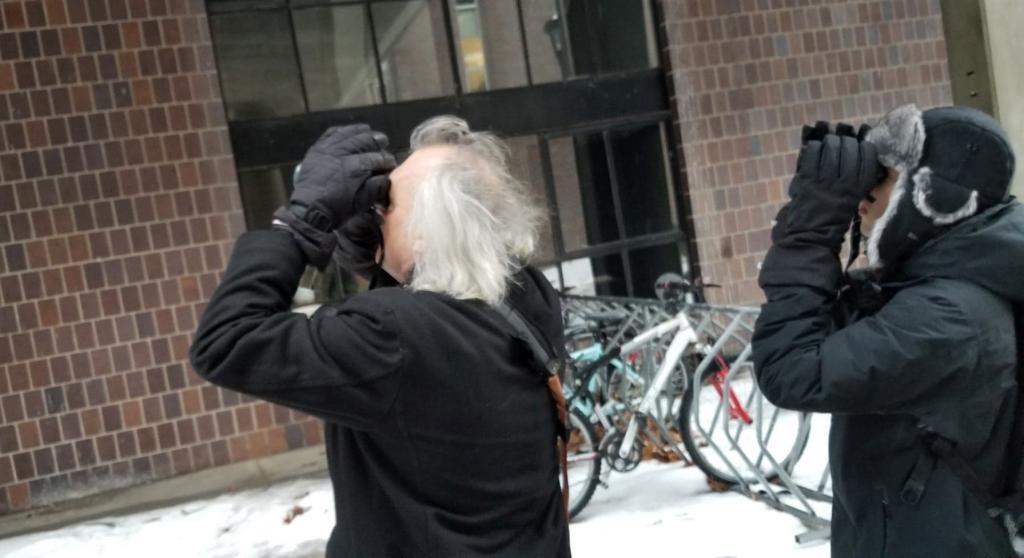 CUOL: Birding with Biology's Michael Runtz - Faculty of Science