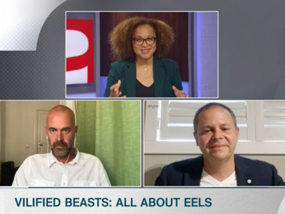 Steven Cooke appears with the host and participants of the TVO segment