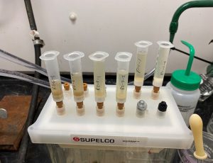 Fractionation of silverskin extracts.